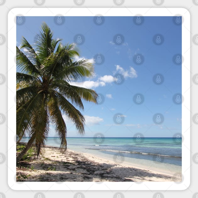 Isla Saona Caribbean Paradise Beach Sticker by Christine aka stine1